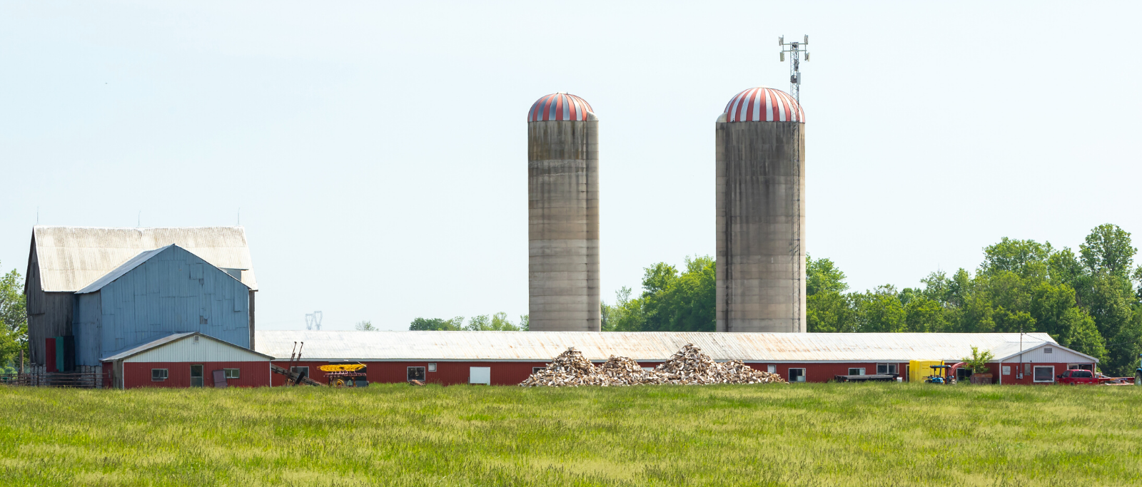 Cell Tower Near Farm in Eastern Ontario